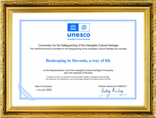Unesco Priznanje-Mini (1)