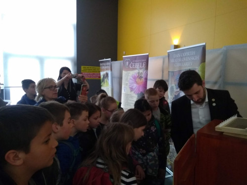 ApiSlovenija 2019 foto CD Sticna (4)