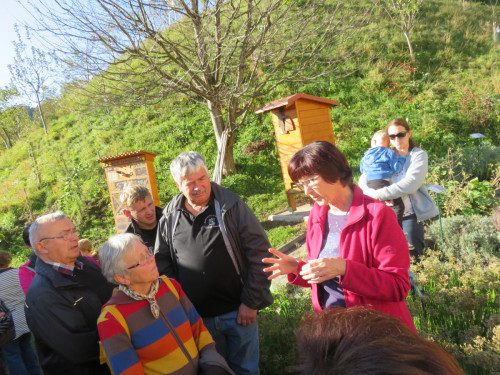 Cebelasrko sadjarski center, Prevalje (12)