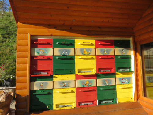Cebelasrko sadjarski center, Prevalje (14)