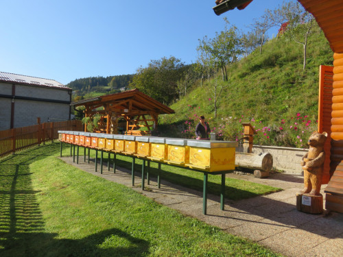 Cebelasrko sadjarski center, Prevalje (6)