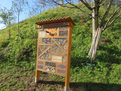 Cebelasrko sadjarski center, Prevalje (9)