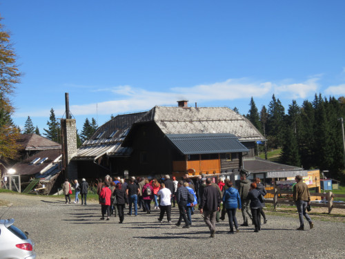 Holcerija, Kope (25)