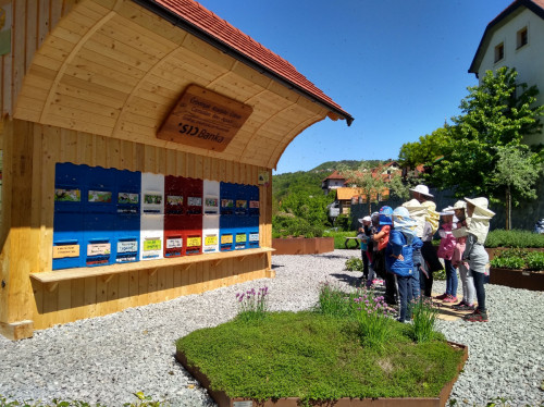 IMG 20190510 111334294 HDR