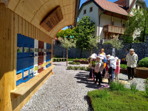 IMG 20190510 111749127 HDR