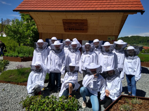 IMG 20190510 115556656 HDR