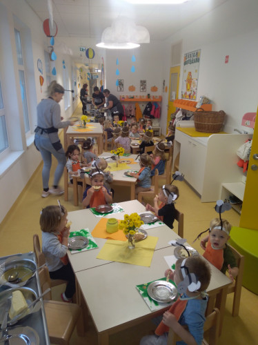 IMG 20231117 082045