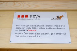 Postavitev ucnega cebelnjaka 4.6.2020 foto Gasper Stopar (3)