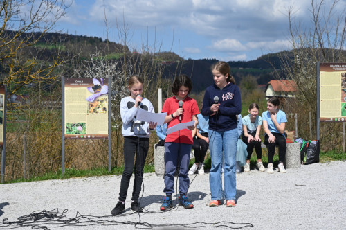 SAJSTIČ 13