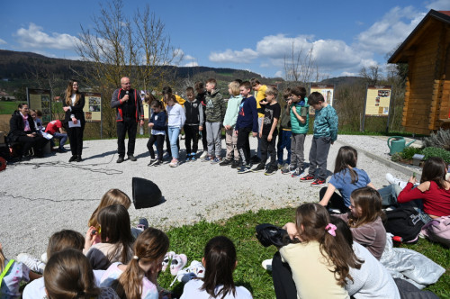 SAJSTIČ 14