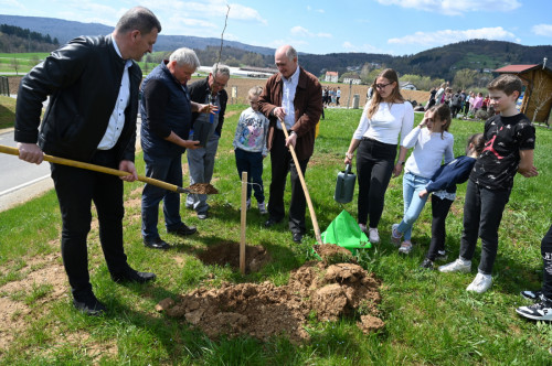 SAJSTIČ 3