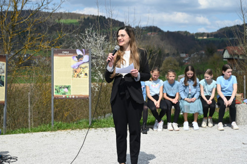 SAJSTIČ 9