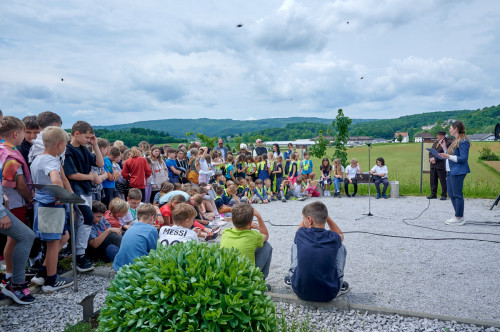 SDČ 3